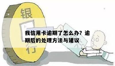 我信用卡逾期了怎么办？逾期后的处理方法与建议